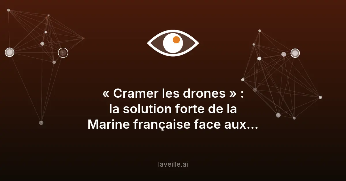 Marine française : renforcement contre les drones